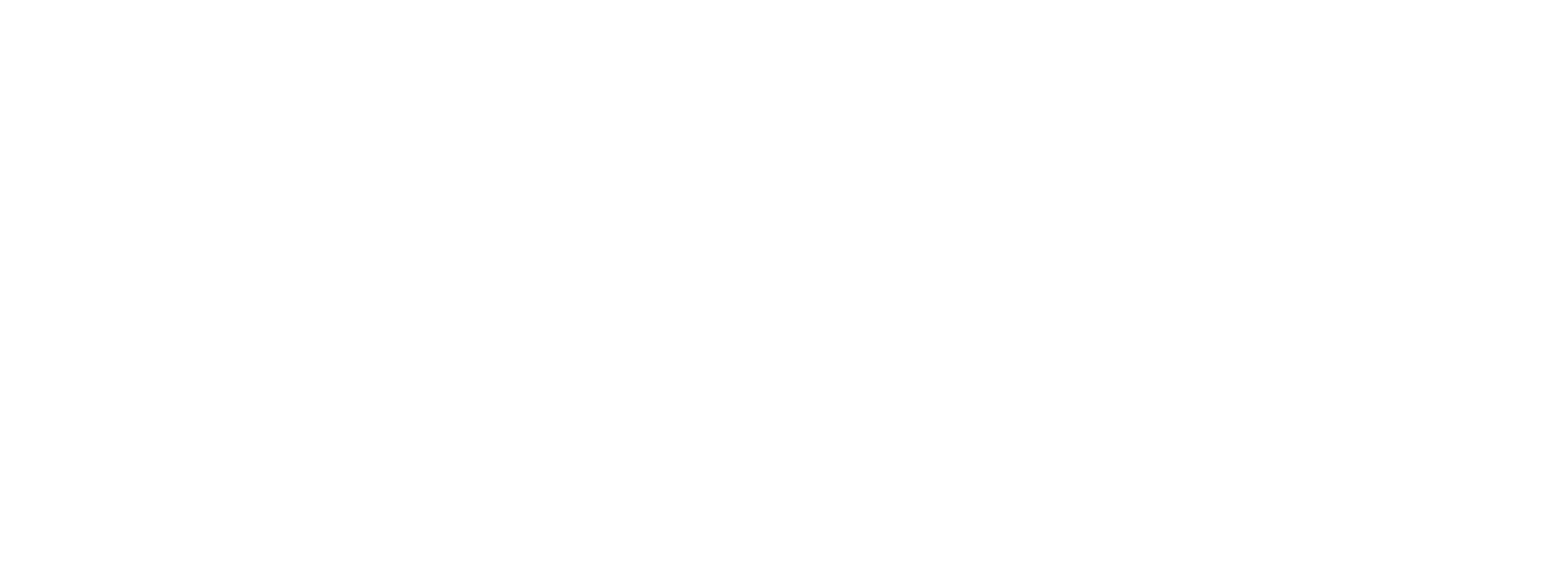 Carrera Racing